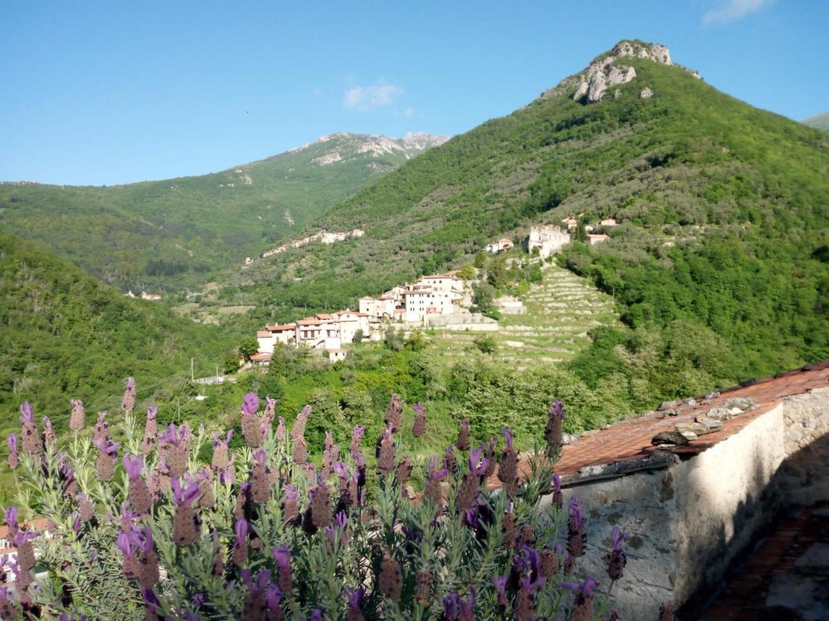 Lo Sporting Bed&Breakfast Nasino Exterior photo